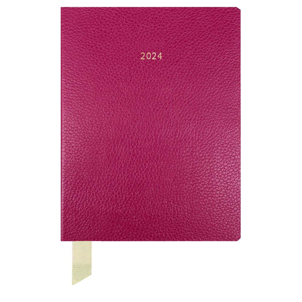 Planner My Days 2024 Fúcsia Liso Pronta Entrega